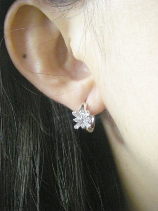 �A�N�Z�T���[�E�s�A�X