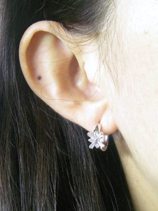 �A�N�Z�T���[�E�s�A�X