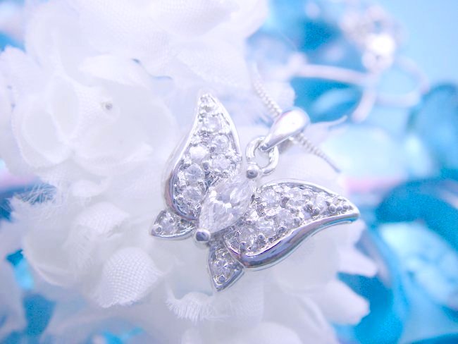 �o�^�t���C���`�[�t�@CZ�A�N�Z�T���[�@�y���_���g