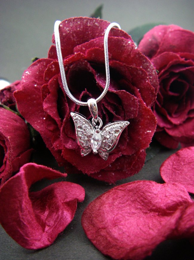 �o�^�t���C���`�[�t�@CZ�A�N�Z�T���[�@�y���_���g