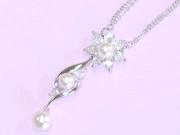 �p�[���ƃL���[�r�b�N�̃y���_���g