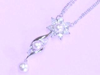 �}�W�����J�p�[���ƃL���[�r�b�N�W���R�j�A�̃y���_���g�@�t�����[���`�[�t�@CZ�A�N�Z�T���[