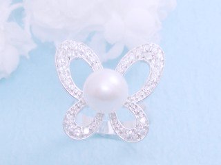 CZ�@�p�[����SV�L���[�r�b�N�W���R�j�A�@�����O�@�o�^�t���C���`�[�t�@