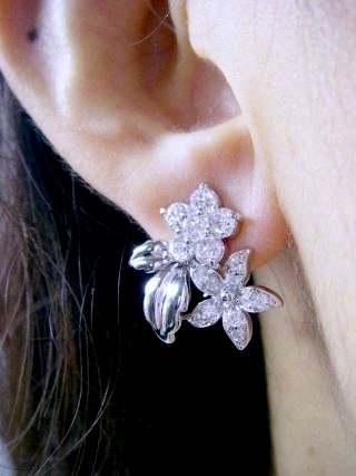 �t�����[���`�[�t�@�L���[�r�b�N�W���R�j�A�̃s�A�X