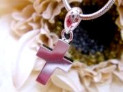 CZ�@�L���[�r�b�N�W���R�j�A�@�y���_���g�@�N���X�i�\���ˁj