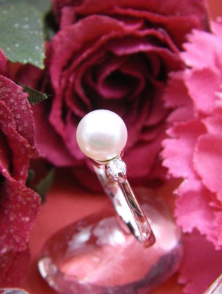 CZ�@SV�L���[�r�b�N�W���R�j�A�@�}�W�����J�p�[���@�����O