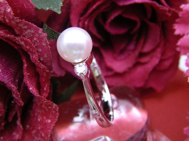 CZ�@SV�L���[�r�b�N�W���R�j�A�@�}�W�����J�p�[���@�����O