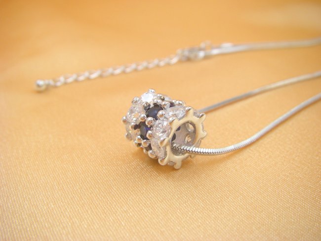 CZ�@�G�^�j�e�B�@�y���_���g