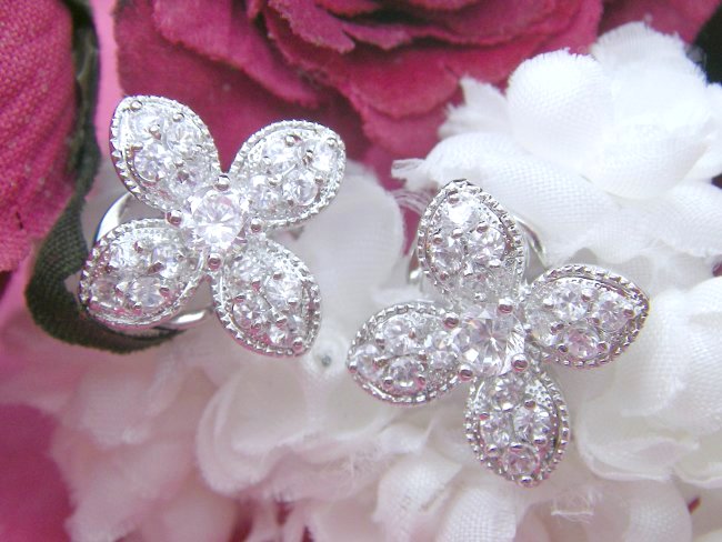 �t�����[���`�[�t�@�s�A�X�@CZ�A�N�Z�T���[