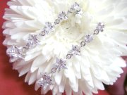 CZ�@�L���[�r�b�N�W���R�j�A�@���@�X�^�[�V�F�C�v�@�s�A�X�@�����O�s�A�X