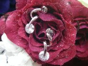 CZ�@�L���[�r�b�N�W���R�j�A �s�A�X