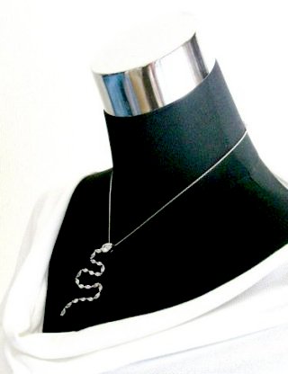 CZ�y���_���g�E�A�N�Z�T���[�@�X�l�[�N