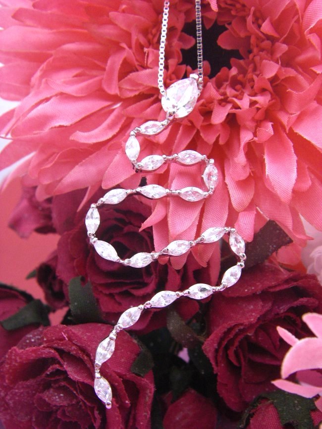 CZ�y���_���g�E�A�N�Z�T���[�@�X�l�[�N