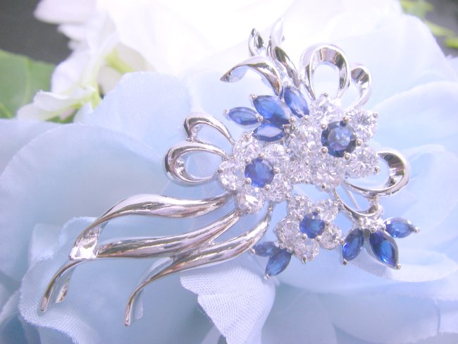 �t�����[���`�[�t�@�u���[�`