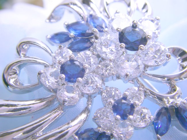 �t�����[���`�[�t�@�u���[�`