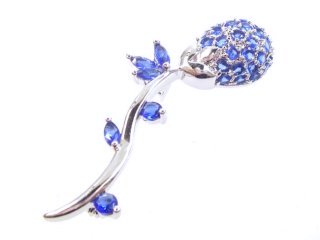 �L���[�r�b�N�W���R�j�A�@�u���[�`