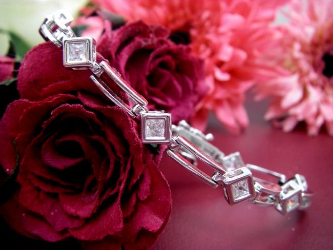 CZ�A�N�Z�T���[�@�u���X���b�g