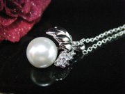 �p�[���ƃL���[�r�b�N�̃y���_���g