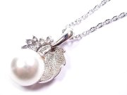 �p�[���ƃL���[�r�b�N�W���R�j�A�@�؂̗t���`�[�t�@�y���_���g