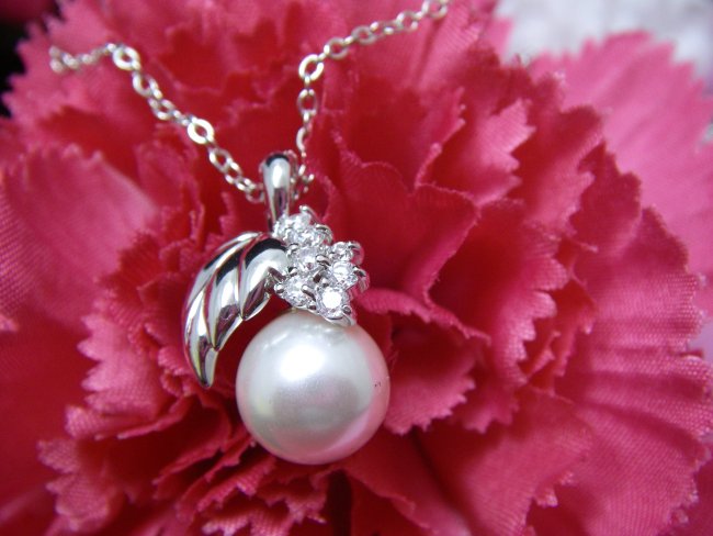 �p�[���ƃL���[�r�b�N�W���R�j�A�@�؂̗t���`�[�t�@�y���_���g