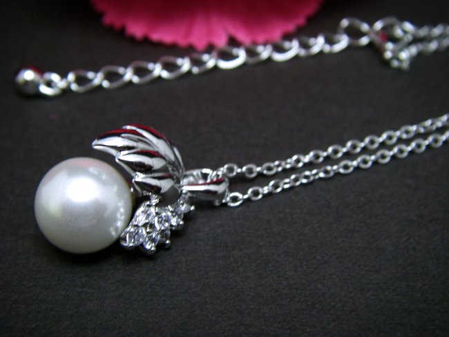 �p�[���ƃL���[�r�b�N�W���R�j�A�@�؂̗t���`�[�t�@�y���_���g