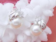 �p�[���ƃL���[�r�b�N�̃s�A�X