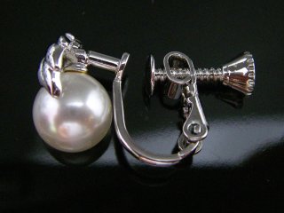 �؂̗t���`�[�t�@�C�������O�@�A�N�Z�T���[