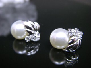 �؂̗t���`�[�t�@�C�������O�@�A�N�Z�T���[