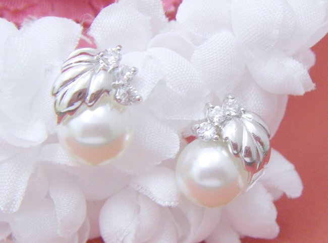 �؂̗t���`�[�t�@�s�A�X�@�A�N�Z�T���[