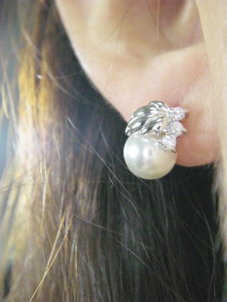 �؂̗t���`�[�t�@�s�A�X�@�A�N�Z�T���[