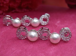 �p�[���ƃL���[�r�b�N�W���R�j�A�̃s�A�X