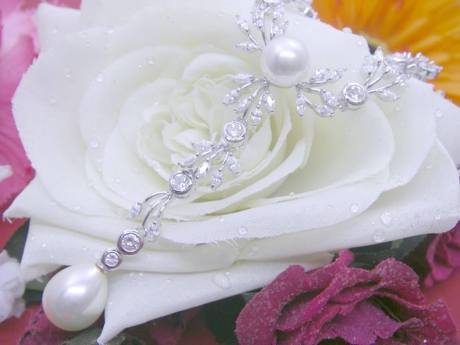 �l�b�N���X�@�p�[���̃A�N�Z�T���[