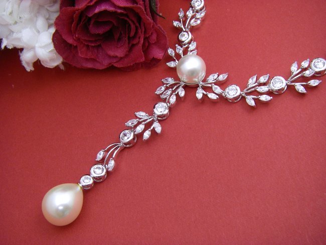 �p�[���@CZ�@�l�b�N���X