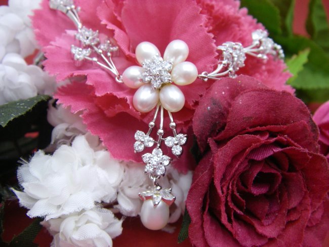 �W���p�[���̃l�b�N���X