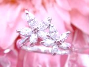 �L���[�r�b�N�W���R�j�A�i�����O�j