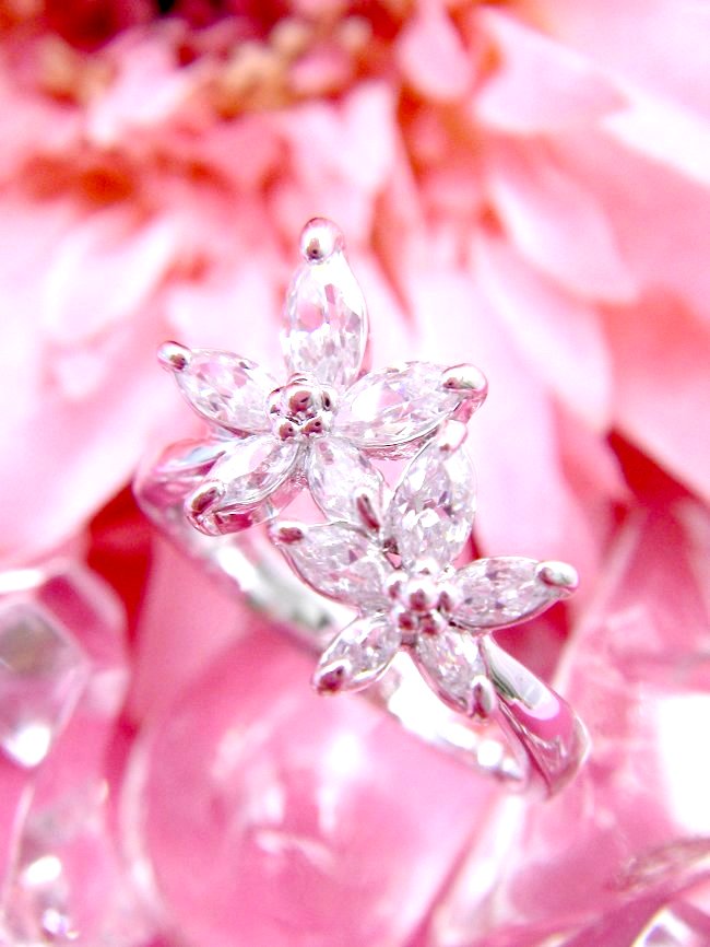 �����O�@�t�����[���`�[�t