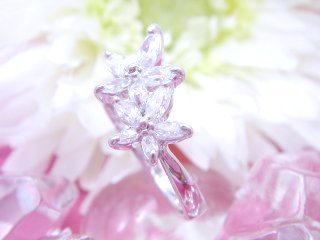 �����O�@�t�����[���`�[�t