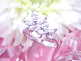 �����O�@�t�����[���`�[�t