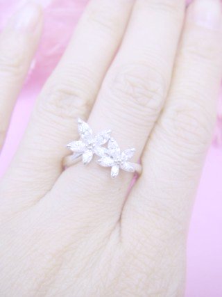 �����O�@�t�����[���`�[�t