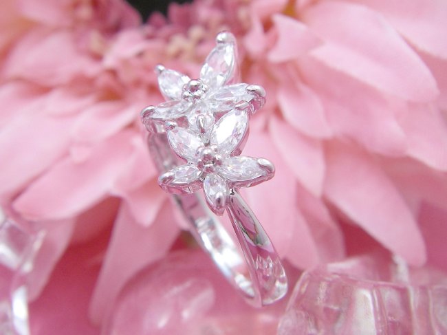 �����O�@�t�����[���`�[�t