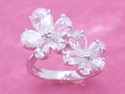 �L���[�r�b�N�W���R�j�A�i�����O�j