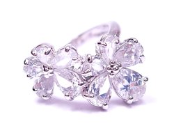 �L���[�r�b�N�W���R�j�A�@�����O�@�t���[�������`�[�t