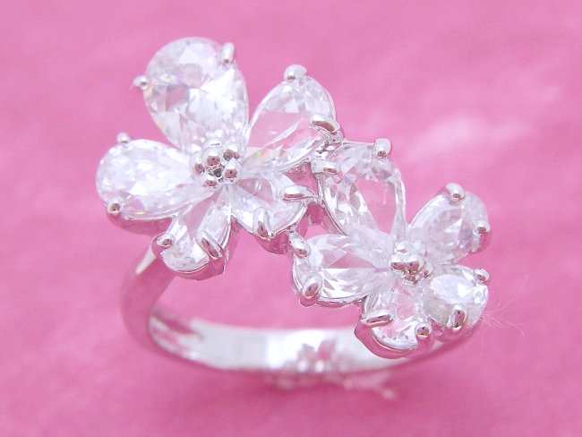 �L���[�r�b�N�W���R�j�A�@�����O�@�t���[�������`�[�t