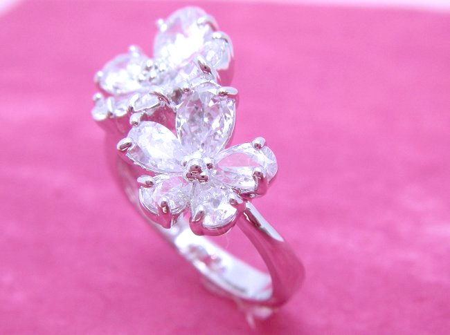 �L���[�r�b�N�W���R�j�A�@�����O�@�t���[�������`�[�t