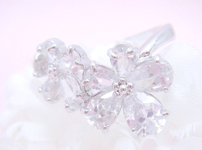 �L���[�r�b�N�W���R�j�A�@�����O�@�t���[�������`�[�t