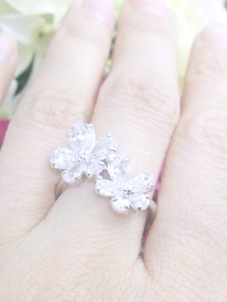 �L���[�r�b�N�W���R�j�A�@�����O�@�t���[�������`�[�t