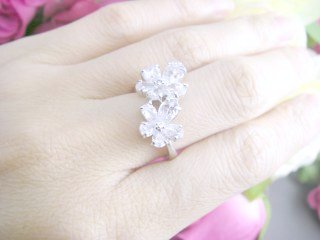 �L���[�r�b�N�W���R�j�A�@�����O�@�t���[�������`�[�t