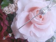 �p�[���ƃL���[�r�b�N�̃y���_���g