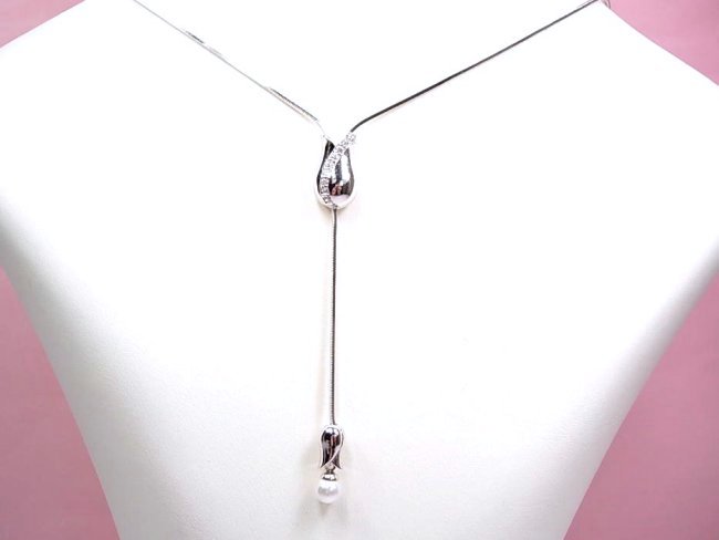 �L���[�r�b�N�W���R�j�A�ƃp�[���̃l�b�N���X