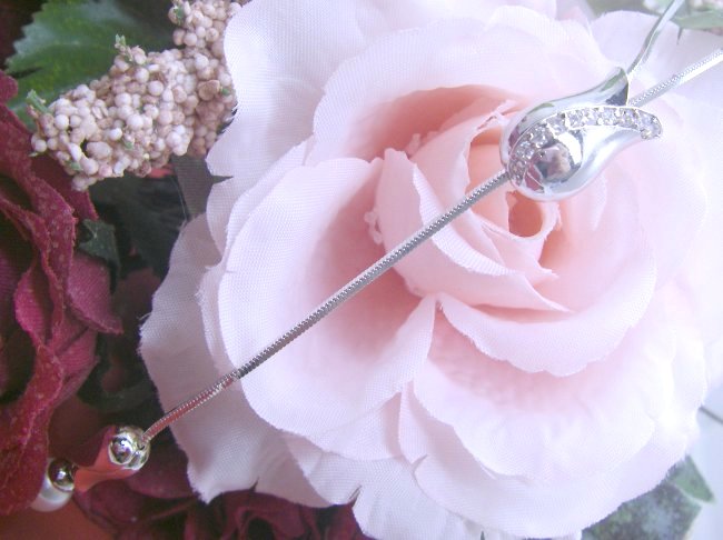 �L���[�r�b�N�W���R�j�A�ƃp�[���̃l�b�N���X